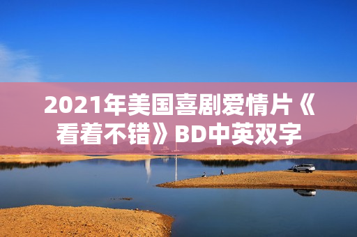 2021年美国喜剧爱情片《看着不错》BD中英双字