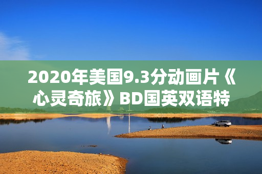 2020年美国9.3分动画片《心灵奇旅》BD国英双语特效中英双字