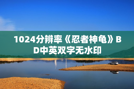 1024分辨率《忍者神龟》BD中英双字无水印
