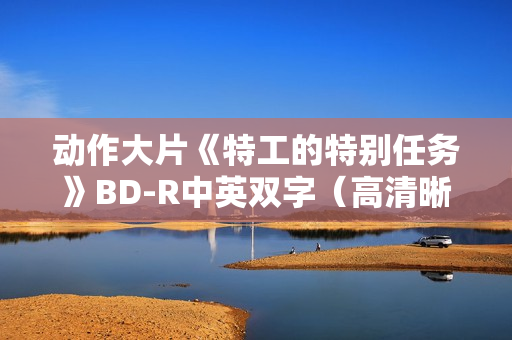 动作大片《特工的特别任务》BD-R中英双字（高清晰版）