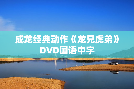 成龙经典动作《龙兄虎弟》DVD国语中字