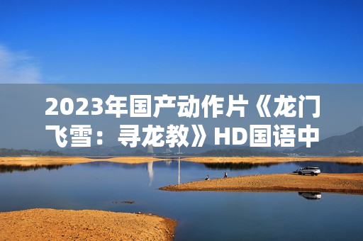 2023年国产动作片《龙门飞雪：寻龙教》HD国语中字