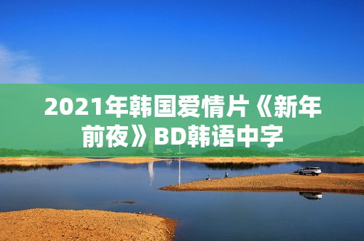 2021年韩国爱情片《新年前夜》BD韩语中字