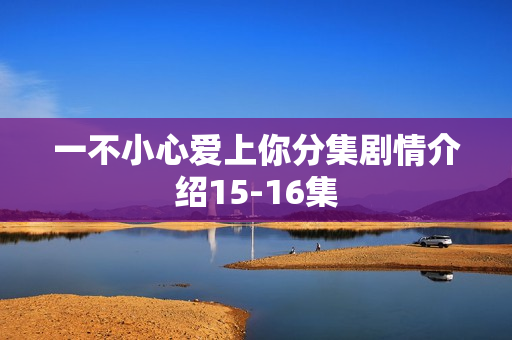 一不小心爱上你分集剧情介绍15-16集