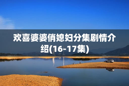 欢喜婆婆俏媳妇分集剧情介绍(16-17集)