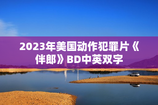2023年美国动作犯罪片《伴郎》BD中英双字