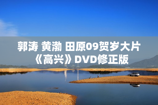 郭涛 黄渤 田原09贺岁大片《高兴》DVD修正版