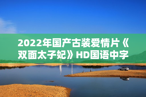 2022年国产古装爱情片《双面太子妃》HD国语中字