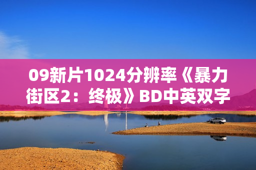 09新片1024分辨率《暴力街区2：终极》BD中英双字