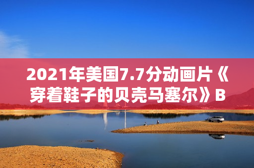 2021年美国7.7分动画片《穿着鞋子的贝壳马塞尔》BD中英双字