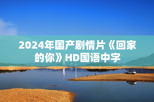 2024年国产剧情片《回家的你》HD国语中字