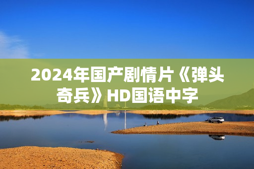 2024年国产剧情片《弹头奇兵》HD国语中字