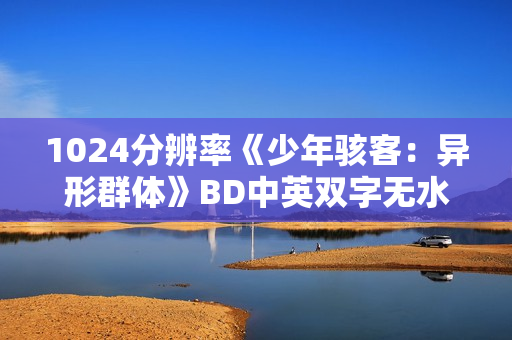 1024分辨率《少年骇客：异形群体》BD中英双字无水印