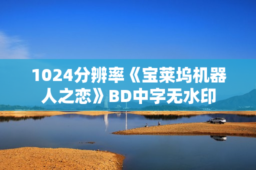 1024分辨率《宝莱坞机器人之恋》BD中字无水印