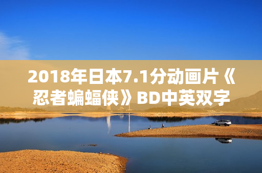 2018年日本7.1分动画片《忍者蝙蝠侠》BD中英双字