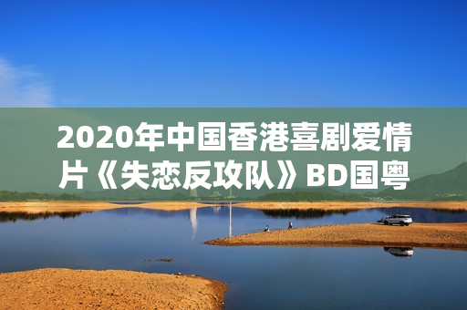 2020年中国香港喜剧爱情片《失恋反攻队》BD国粤双语中字