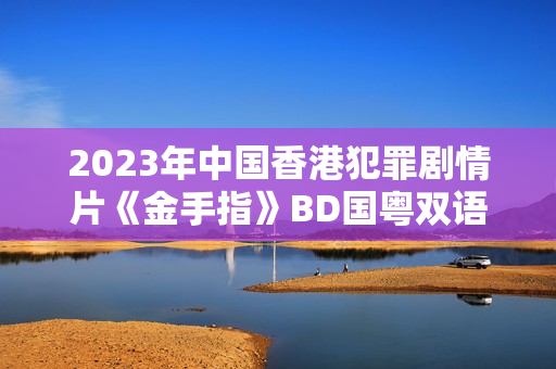 2023年中国香港犯罪剧情片《金手指》BD国粤双语中字