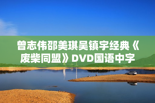 曾志伟邵美琪吴镇宇经典《废柴同盟》DVD国语中字