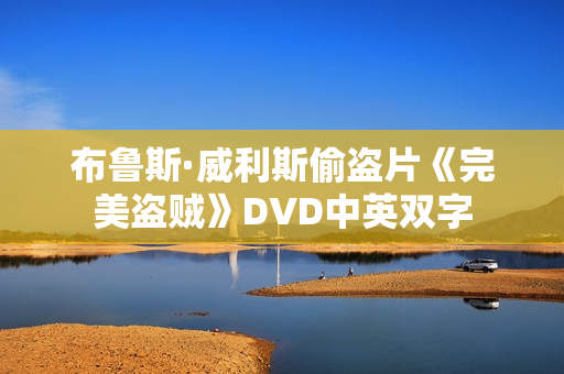 布鲁斯·威利斯偷盗片《完美盗贼》DVD中英双字