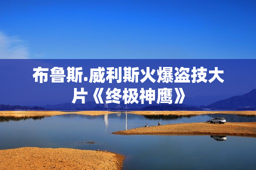 布鲁斯.威利斯火爆盗技大片《终极神鹰》