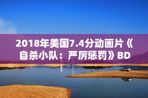 2018年美国7.4分动画片《自杀小队：严厉惩罚》BD中字