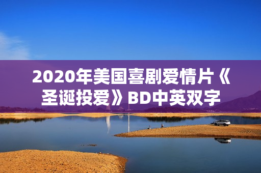 2020年美国喜剧爱情片《圣诞投爱》BD中英双字