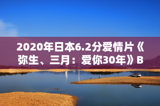 2020年日本6.2分爱情片《弥生、三月：爱你30年》BD日语中字