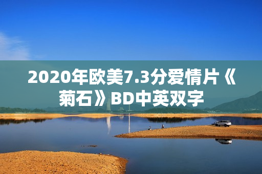 2020年欧美7.3分爱情片《菊石》BD中英双字