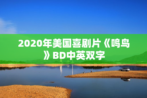 2020年美国喜剧片《鸣鸟》BD中英双字