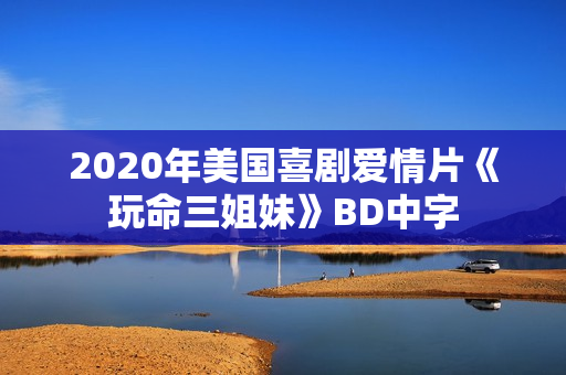 2020年美国喜剧爱情片《玩命三姐妹》BD中字