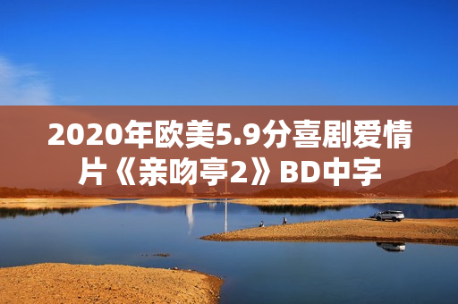 2020年欧美5.9分喜剧爱情片《亲吻亭2》BD中字