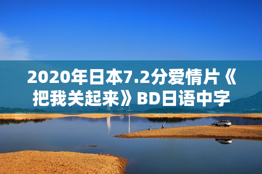 2020年日本7.2分爱情片《把我关起来》BD日语中字