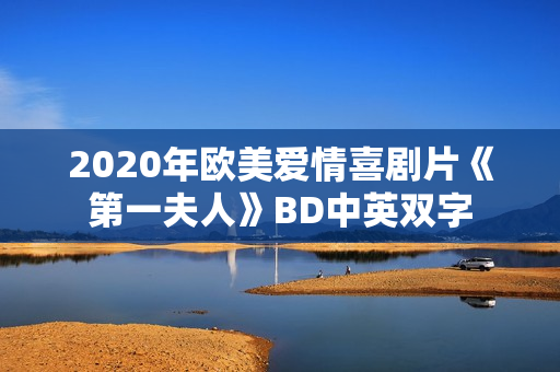 2020年欧美爱情喜剧片《第一夫人》BD中英双字