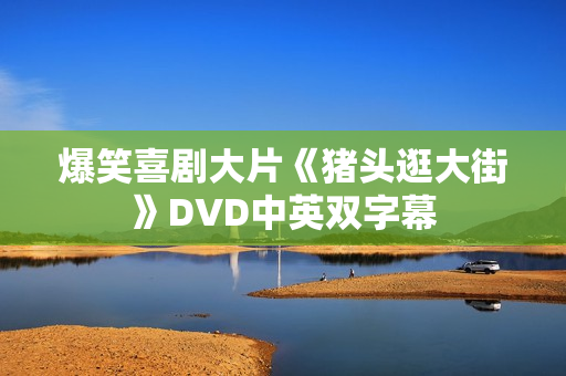 爆笑喜剧大片《猪头逛大街》DVD中英双字幕