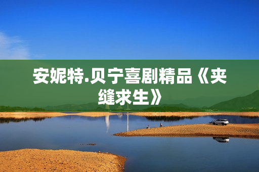 安妮特.贝宁喜剧精品《夹缝求生》