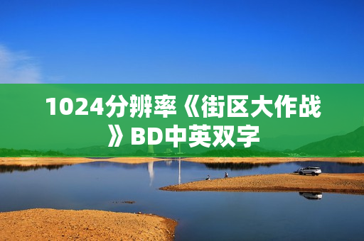 1024分辨率《街区大作战》BD中英双字