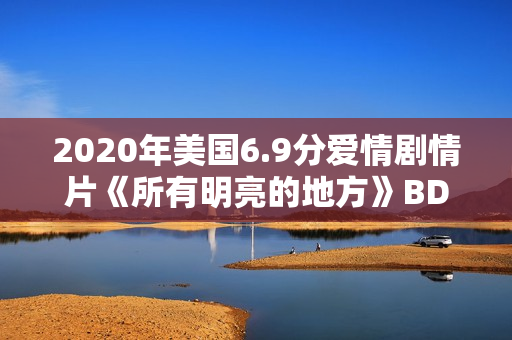 2020年美国6.9分爱情剧情片《所有明亮的地方》BD中字