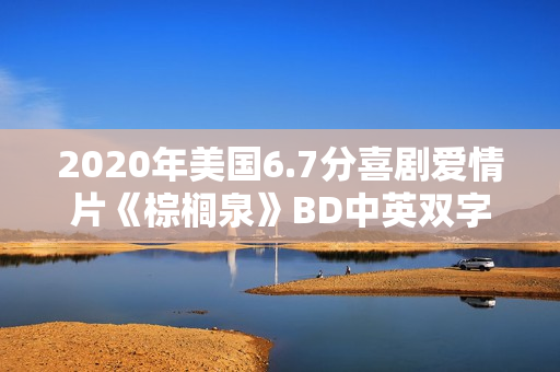 2020年美国6.7分喜剧爱情片《棕榈泉》BD中英双字