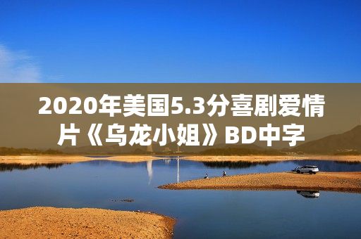 2020年美国5.3分喜剧爱情片《乌龙小姐》BD中字