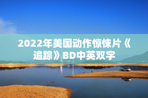 2022年美国动作惊悚片《追踪》BD中英双字
