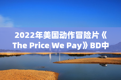 2022年美国动作冒险片《The Price We Pay》BD中英双字