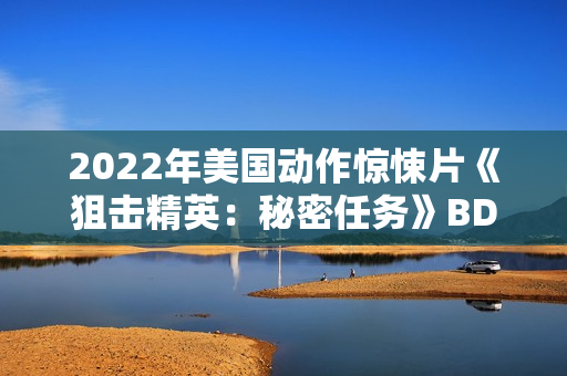 2022年美国动作惊悚片《狙击精英：秘密任务》BD中英双字