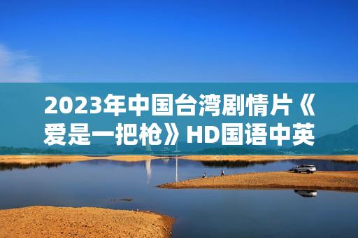 2023年中国台湾剧情片《爱是一把枪》HD国语中英双字