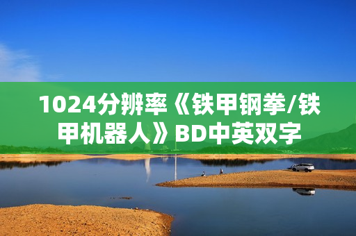 1024分辨率《铁甲钢拳/铁甲机器人》BD中英双字