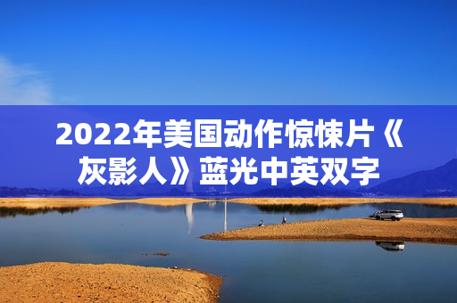 2022年美国动作惊悚片《灰影人》蓝光中英双字
