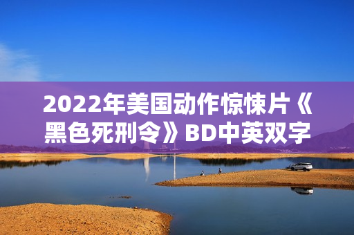 2022年美国动作惊悚片《黑色死刑令》BD中英双字