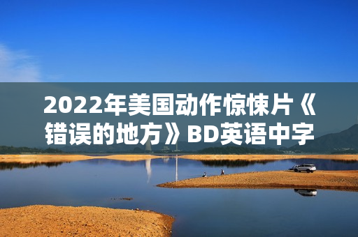 2022年美国动作惊悚片《错误的地方》BD英语中字