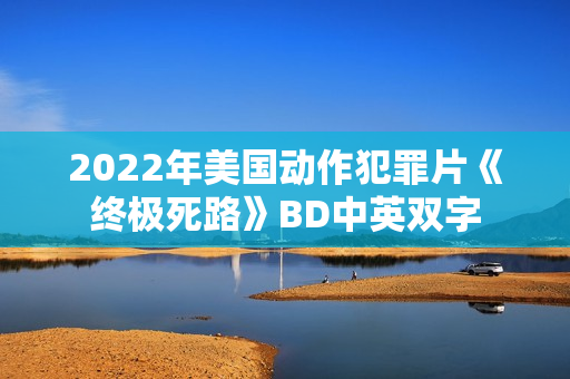 2022年美国动作犯罪片《终极死路》BD中英双字