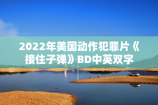 2022年美国动作犯罪片《接住子弹》BD中英双字