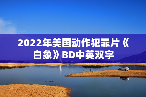 2022年美国动作犯罪片《白象》BD中英双字